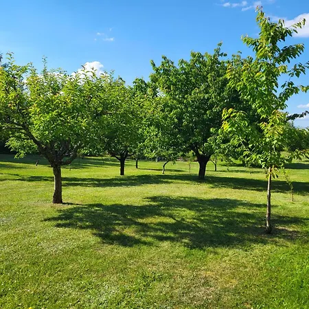Casa vacanze Wczasymazurskie - Caloroczny Piwonia Mazury Z Prywatna Plaza Ełk