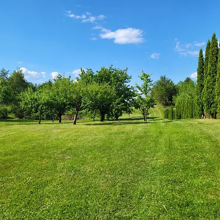 Wczasymazurskie - Caloroczny Piwonia Mazury Z Prywatna Plaza *