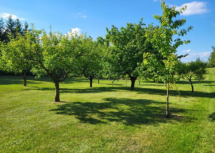 Dom wakacyjny Wczasymazurskie - Całoroczny Piwonia Mazury Z Prywatną Plażą Ełk